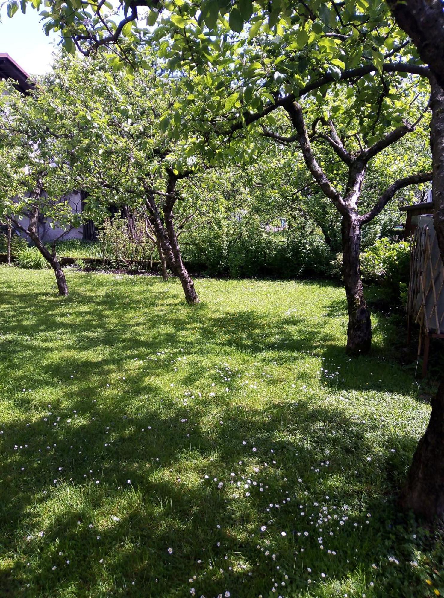 Apartma Rutar Tolmin Exterior photo
